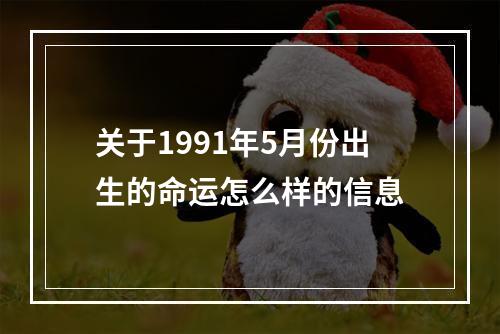 关于1991年5月份出生的命运怎么样的信息