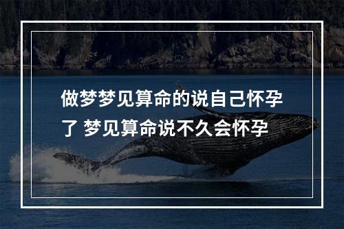 做梦梦见算命的说自己怀孕了 梦见算命说不久会怀孕