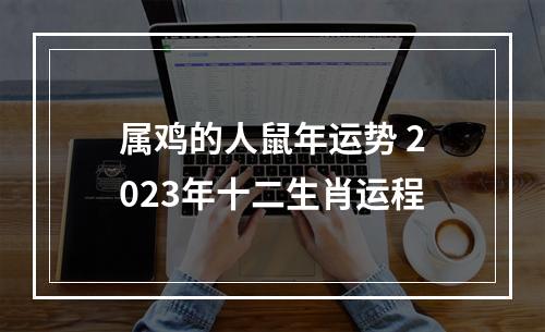 属鸡的人鼠年运势 2023年十二生肖运程