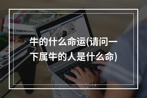 牛的什么命运(请问一下属牛的人是什么命)