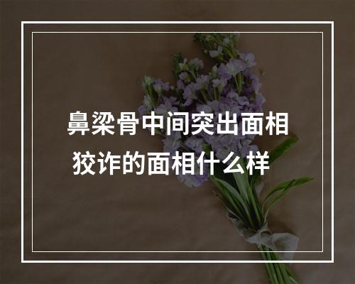 鼻梁骨中间突出面相 狡诈的面相什么样
