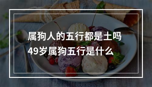 属狗人的五行都是土吗 49岁属狗五行是什么