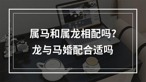 属马和属龙相配吗? 龙与马婚配合适吗