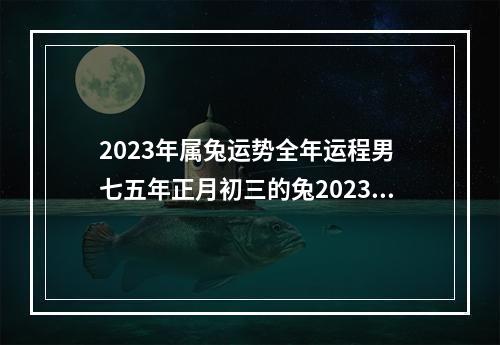 2023年属兔运势全年运程男 七五年正月初三的兔2023年的运势?