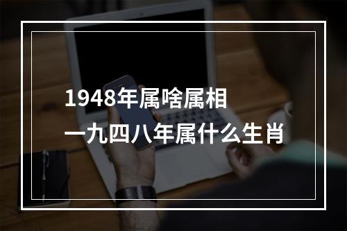 1948年属啥属相 一九四八年属什么生肖