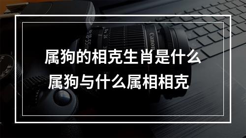 属狗的相克生肖是什么 属狗与什么属相相克