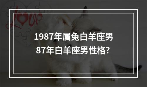 1987年属兔白羊座男 87年白羊座男性格?