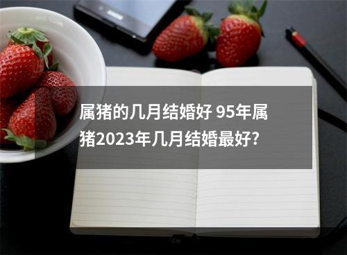 属猪的几月结婚好 95年属猪2023年几月结婚最好?