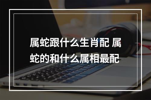 属蛇跟什么生肖配 属蛇的和什么属相最配
