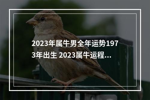 2023年属牛男全年运势1973年出生 2023属牛运程每月