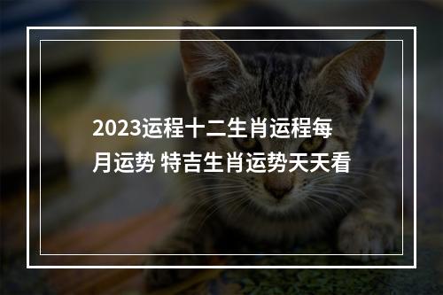2023运程十二生肖运程每月运势 特吉生肖运势天天看