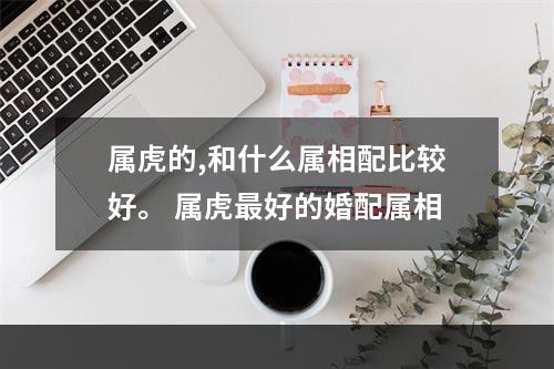 属虎的,和什么属相配比较好。 属虎最好的婚配属相
