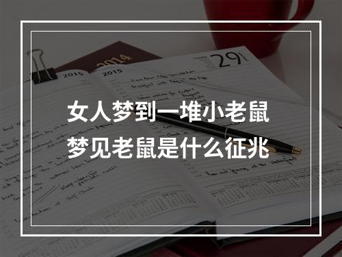 女人梦到一堆小老鼠 梦见老鼠是什么征兆