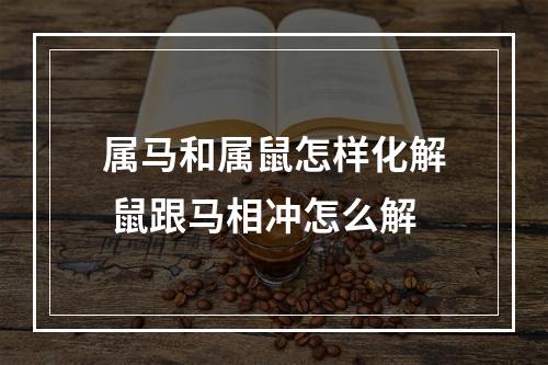 属马和属鼠怎样化解 鼠跟马相冲怎么解