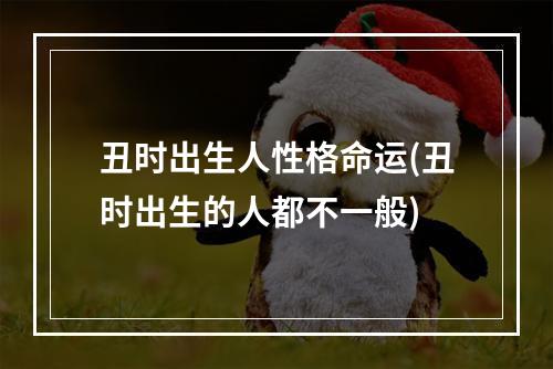 丑时出生人性格命运(丑时出生的人都不一般)
