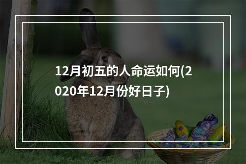 12月初五的人命运如何(2020年12月份好日子)