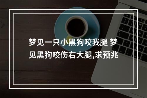 梦见一只小黑狗咬我腿 梦见黑狗咬伤右大腿,求预兆