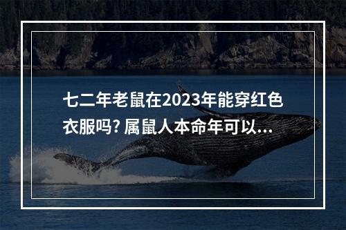 七二年老鼠在2023年能穿红色衣服吗? 属鼠人本命年可以穿红色吗