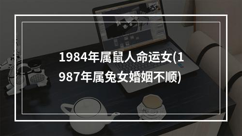1984年属鼠人命运女(1987年属兔女婚姻不顺)