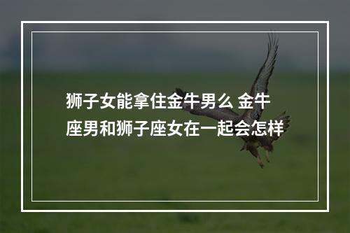狮子女能拿住金牛男么 金牛座男和狮子座女在一起会怎样
