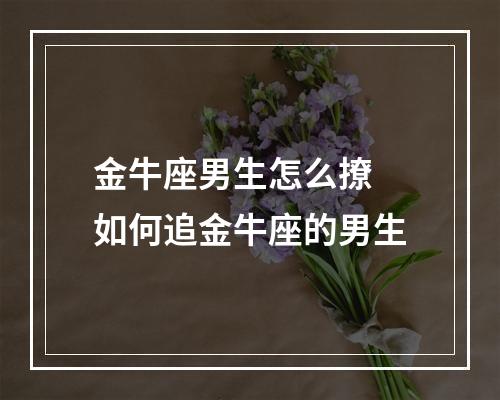 金牛座男生怎么撩 如何追金牛座的男生