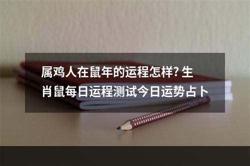 属鸡人在鼠年的运程怎样? 生肖鼠每日运程测试今日运势占卜