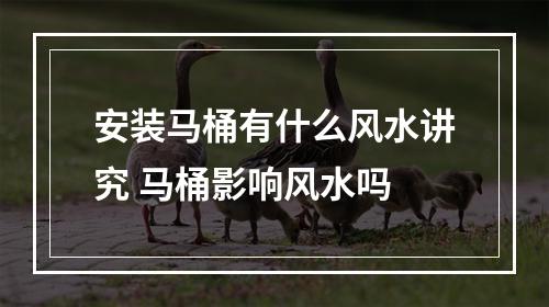 安装马桶有什么风水讲究 马桶影响风水吗