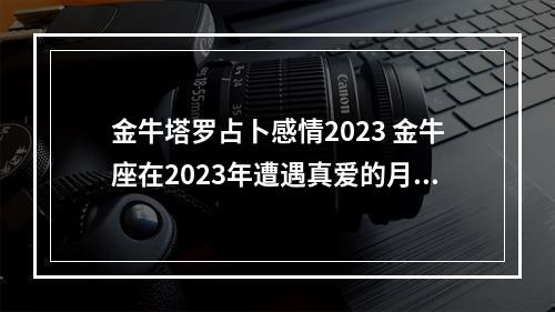 金牛塔罗占卜感情2023 金牛座在2023年遭遇真爱的月份是何时?金牛座感情运势如何?