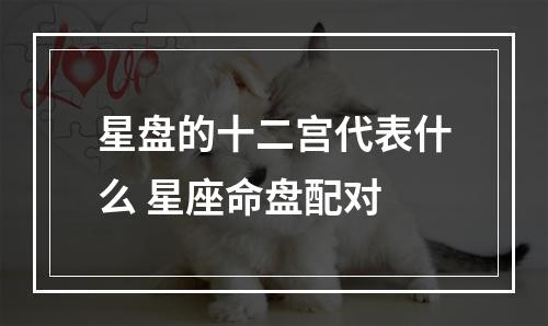星盘的十二宫代表什么 星座命盘配对