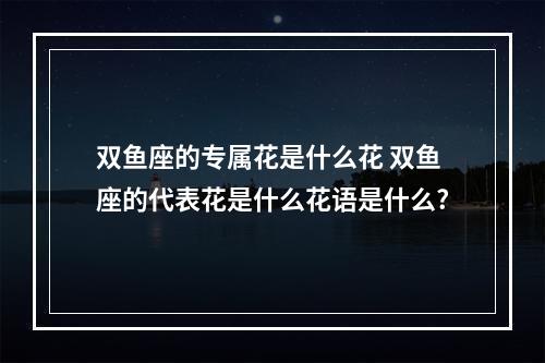 双鱼座的专属花是什么花 双鱼座的代表花是什么花语是什么?