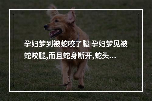 孕妇梦到被蛇咬了腿 孕妇梦见被蛇咬腿,而且蛇身断开,蛇头仍在腿上 这梦什么意思?