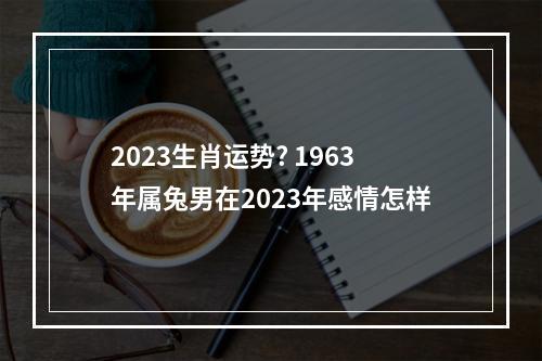 2023生肖运势? 1963年属兔男在2023年感情怎样