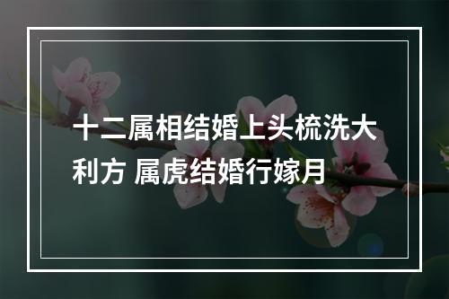 十二属相结婚上头梳洗大利方 属虎结婚行嫁月