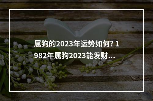 属狗的2023年运势如何? 1982年属狗2023能发财吗