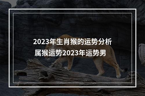 2023年生肖猴的运势分析 属猴运势2023年运势男