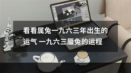 看看属兔一九六三年出生的运气 一九六三蜃兔的运程