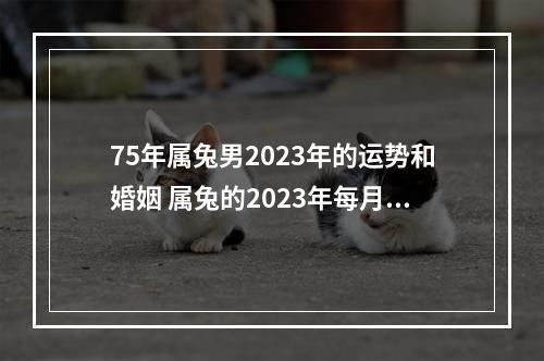 75年属兔男2023年的运势和婚姻 属兔的2023年每月运程