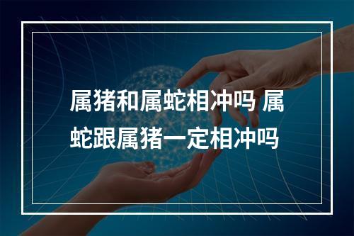 属猪和属蛇相冲吗 属蛇跟属猪一定相冲吗