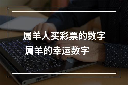 属羊人买彩票的数字 属羊的幸运数字
