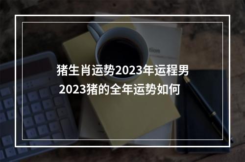 猪生肖运势2023年运程男 2023猪的全年运势如何