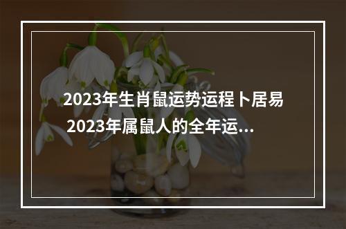 2023年生肖鼠运势运程卜居易 2023年属鼠人的全年运势怎么样?