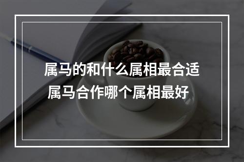 属马的和什么属相最合适 属马合作哪个属相最好