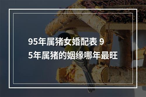 95年属猪女婚配表 95年属猪的姻缘哪年最旺