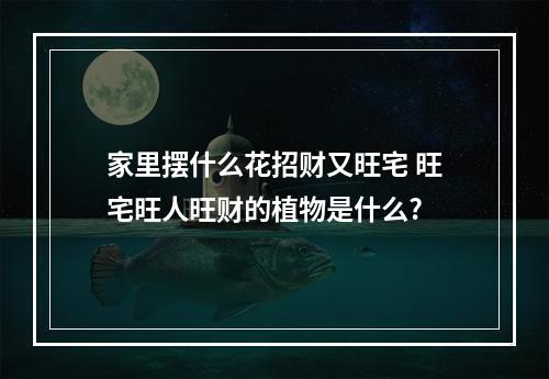 家里摆什么花招财又旺宅 旺宅旺人旺财的植物是什么?