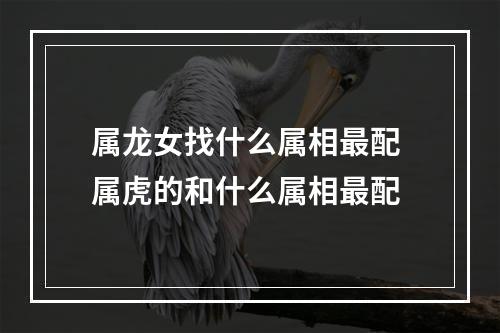 属龙女找什么属相最配 属虎的和什么属相最配
