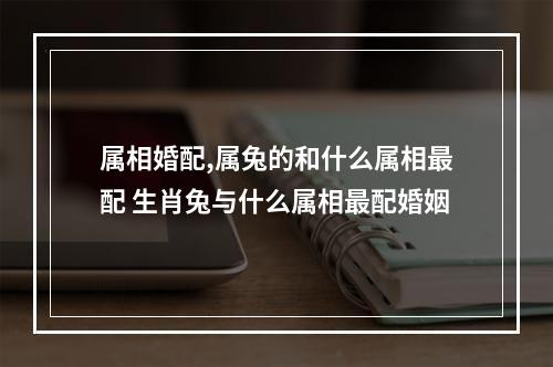 属相婚配,属兔的和什么属相最配 生肖兔与什么属相最配婚姻
