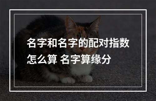 名字和名字的配对指数怎么算 名字算缘分