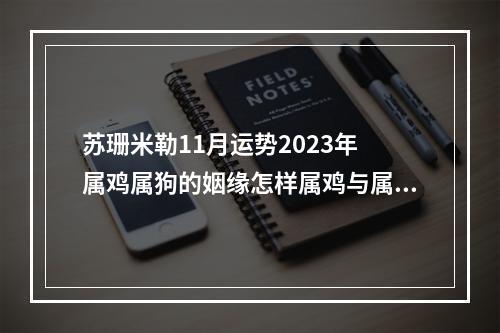 苏珊米勒11月运势2023年 属鸡属狗的姻缘怎样属鸡与属狗的婚姻运势如何