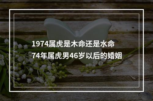 1974属虎是木命还是水命 74年属虎男46岁以后的婚姻