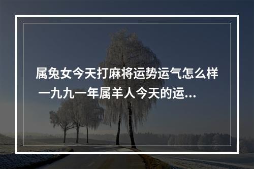 属兔女今天打麻将运势运气怎么样 一九九一年属羊人今天的运气
